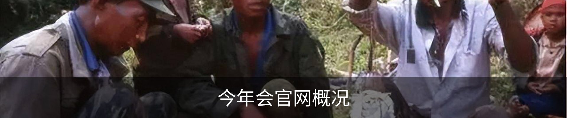 今年会官网概况